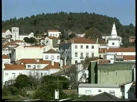 24a Mãe de Santo em Figueiró dos Vinhos